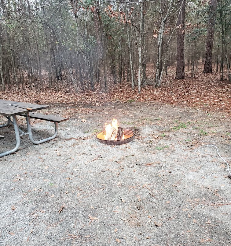 Georgia Veterans Memorial State Park Camping主图