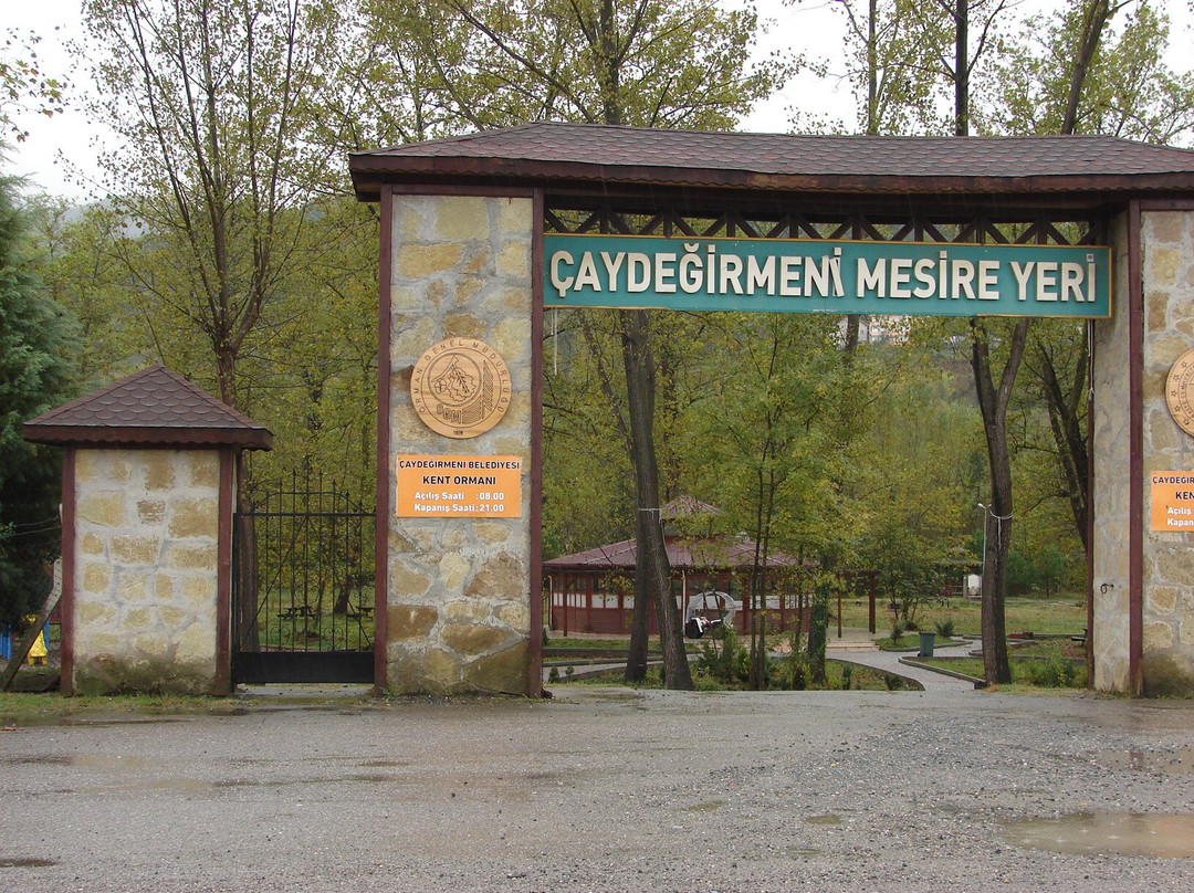 Çaydeğirmeni Mesire Alanı景点图片