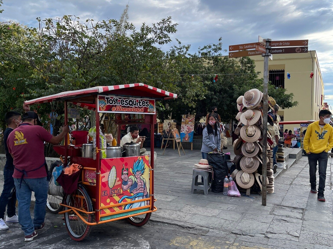 Parque Juarez  El Llano-瓦哈卡必去景点