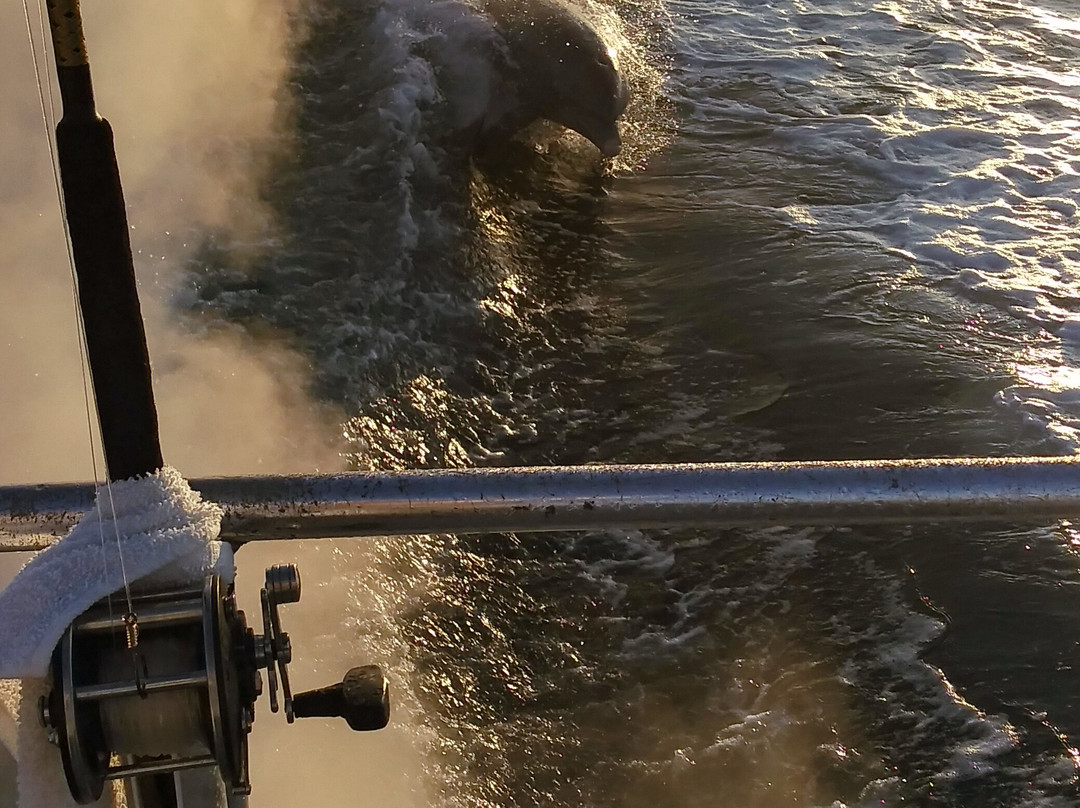 Reef Raider Fishing Charters-恩格尔伍德必去景点