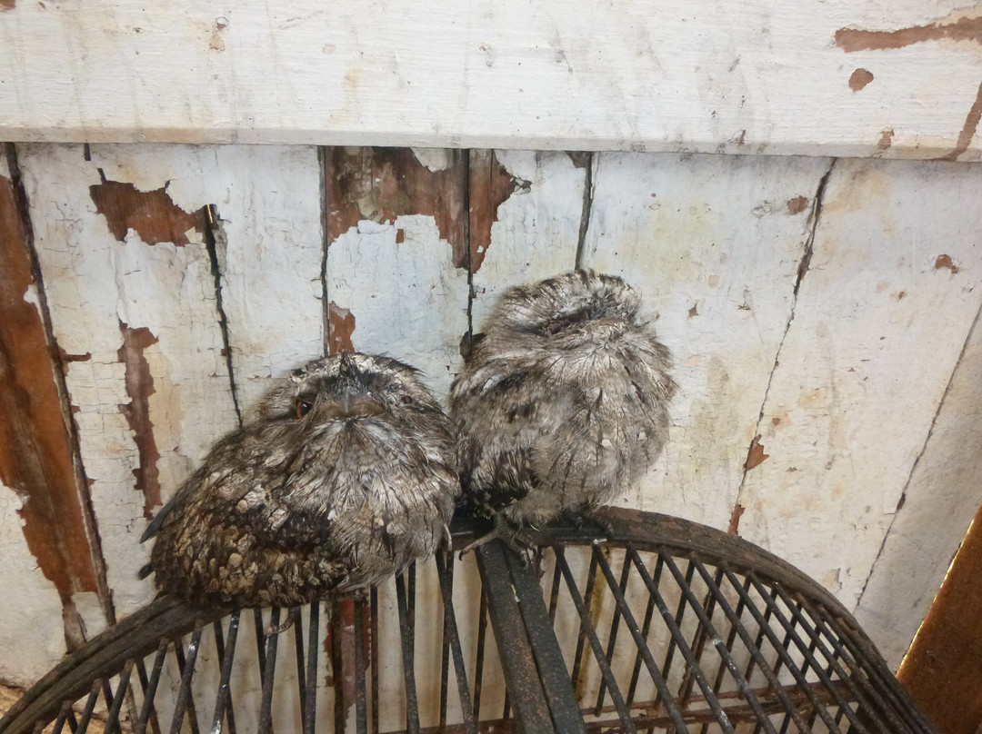 Taralga Wildlife Park-Taralga必去景点