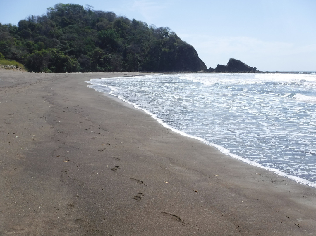 Playa Buena Vista景点图片