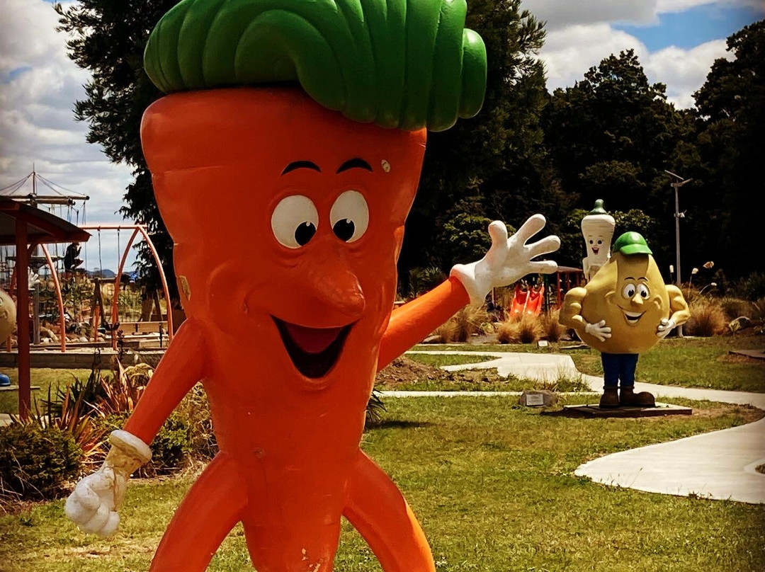 Ohakune Carrot Adventure Park景点图片