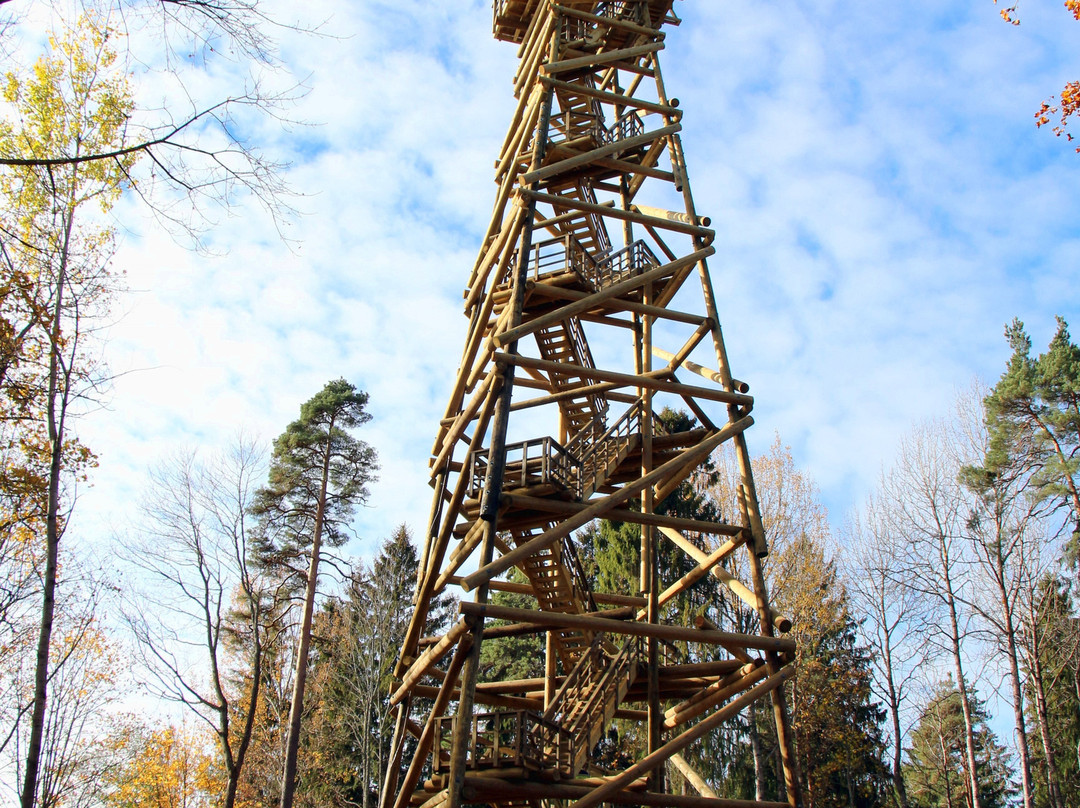 Aluksne Watchtower-Aluksne必去景点