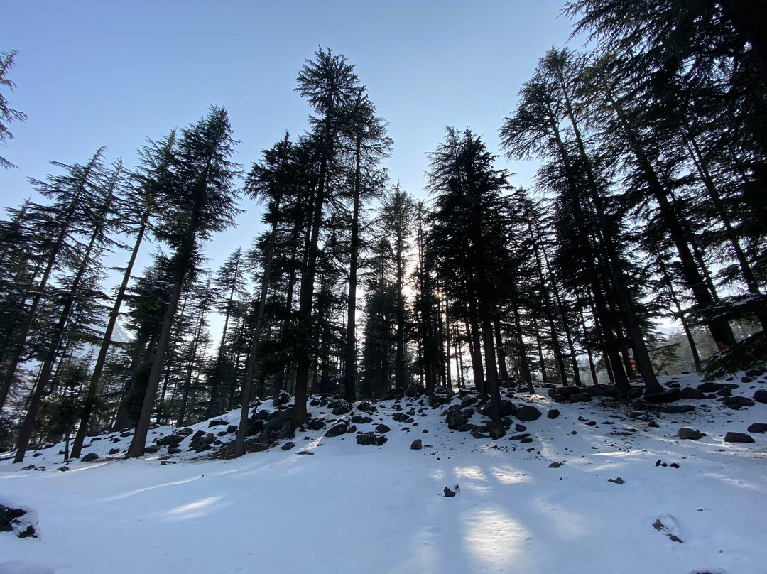 Kalam Forest-Kalam必去景点