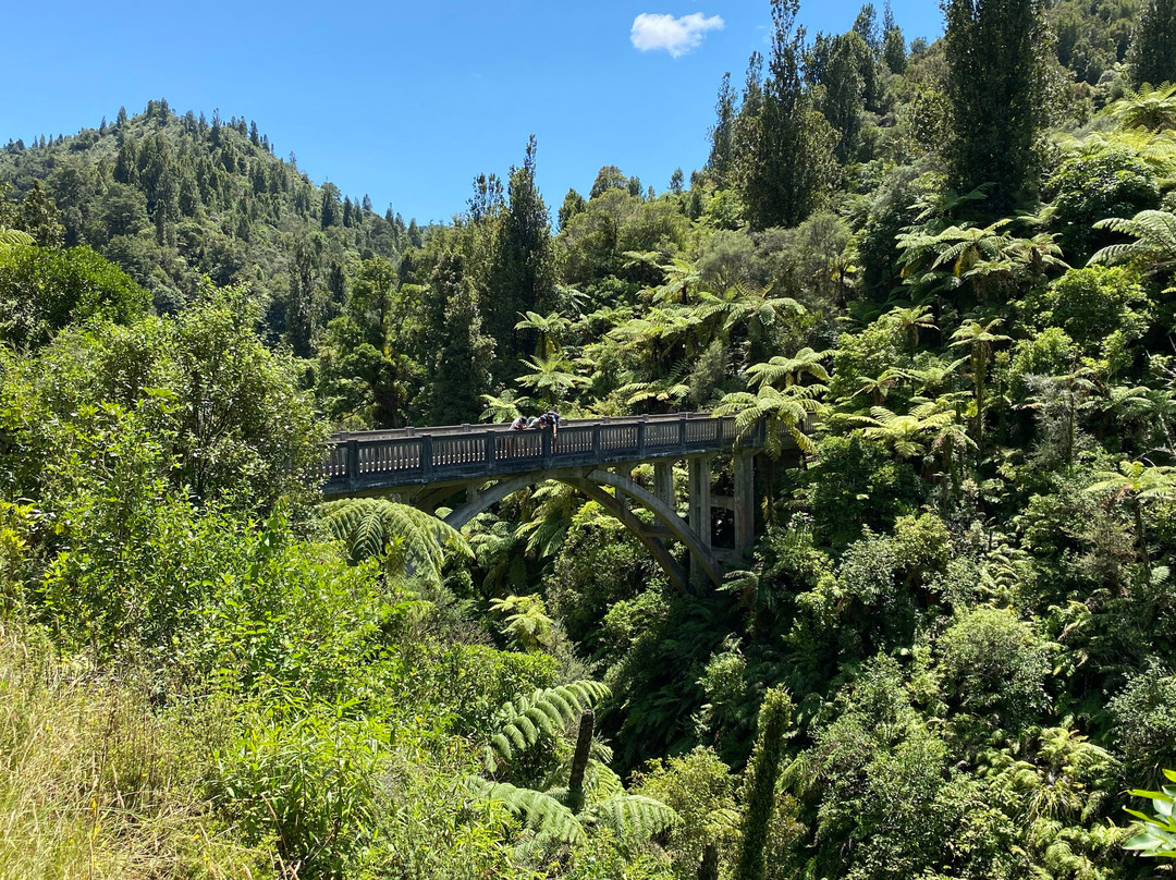 Whanganui National Park-旺加努伊必去景点