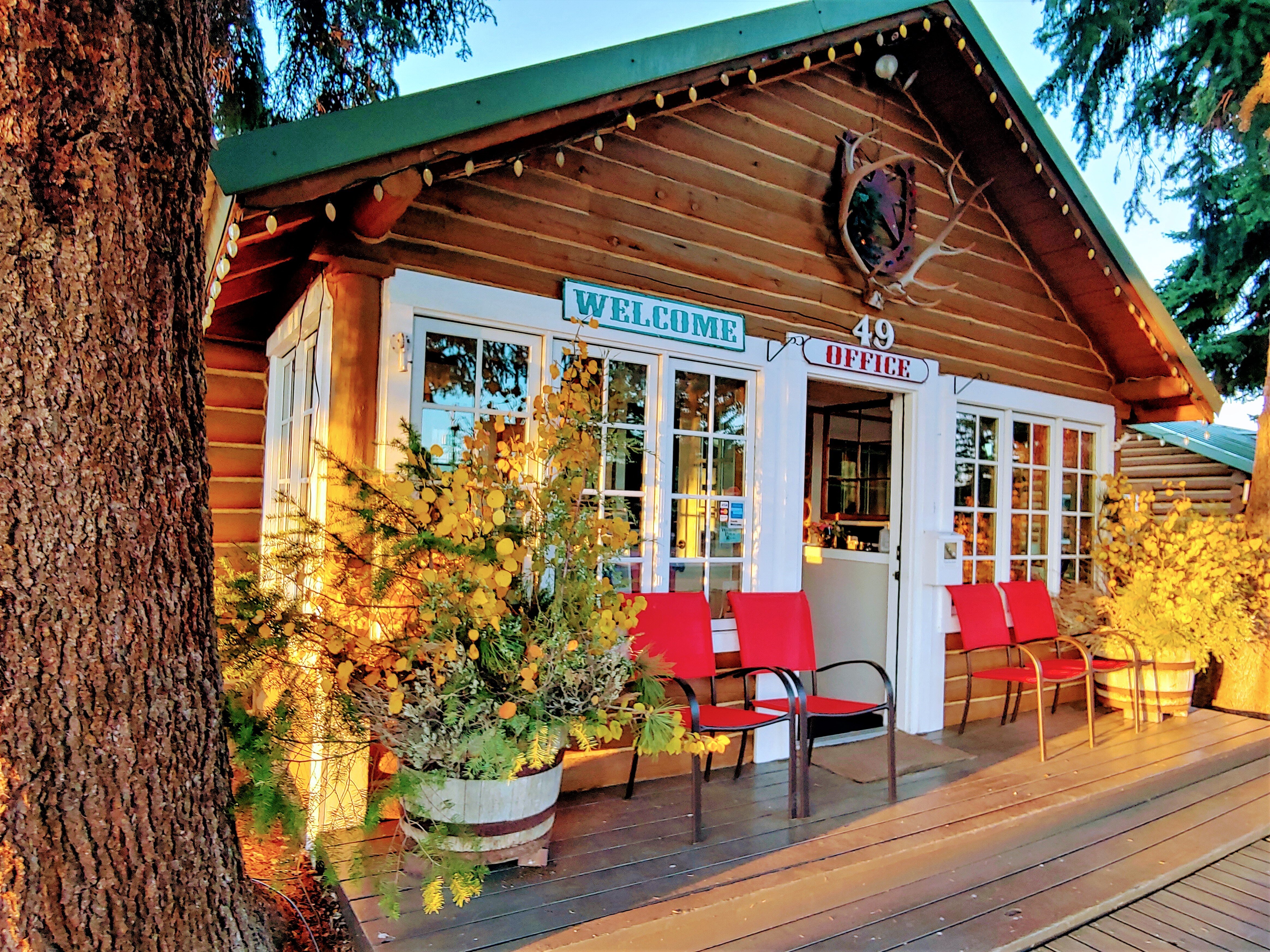 Log Cabin Motel-官方