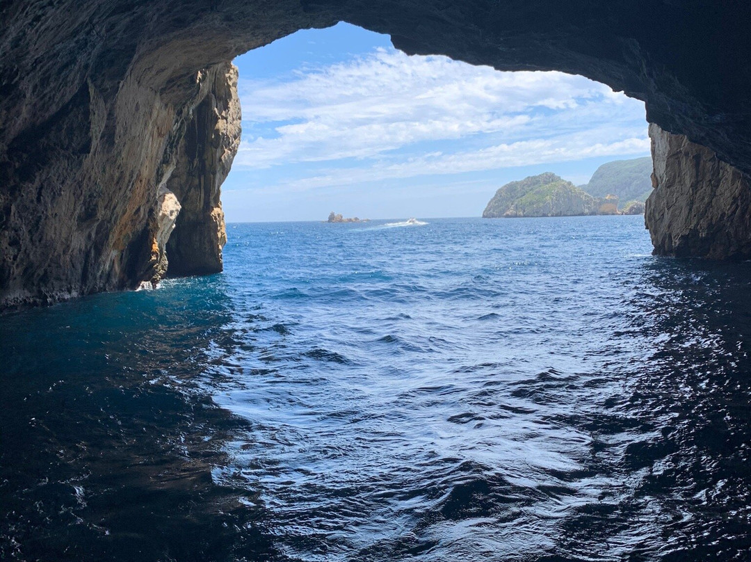 Yukon Dive-Tutukaka必去景点