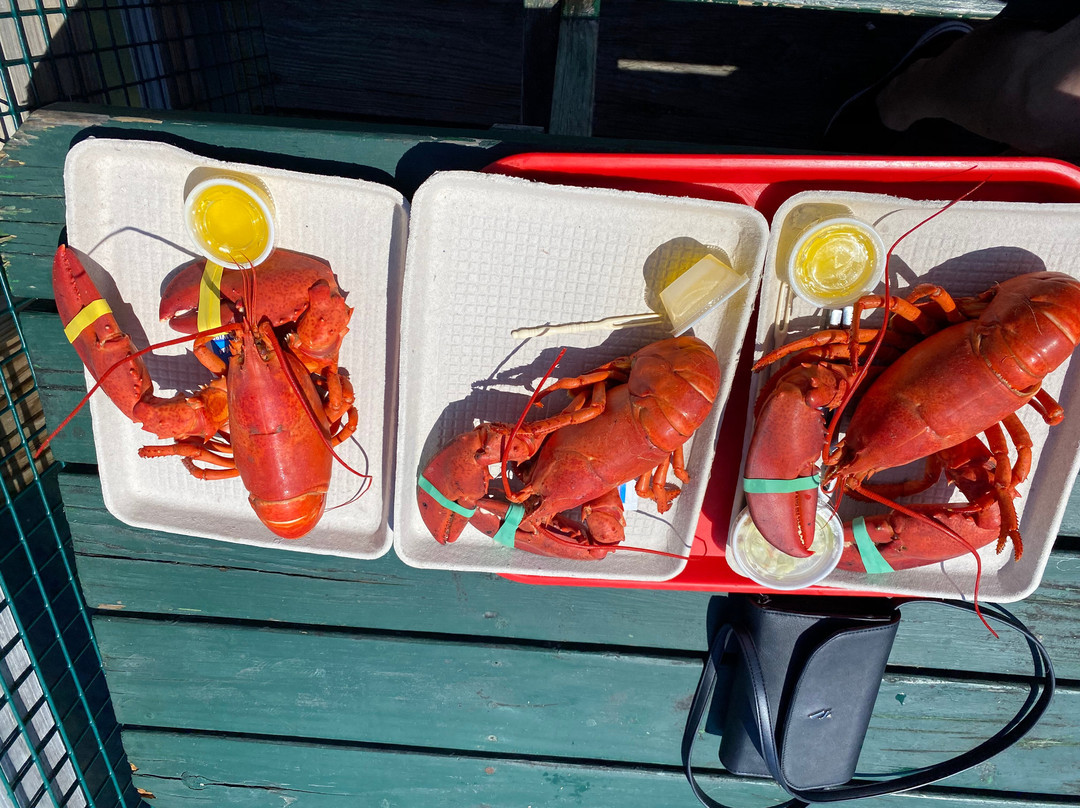 The Beach House主图