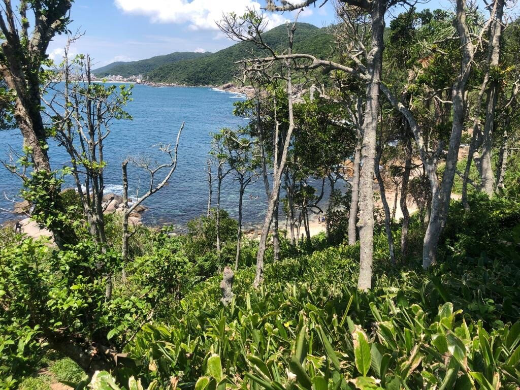Galheta Beach-Bombinhas必去景点