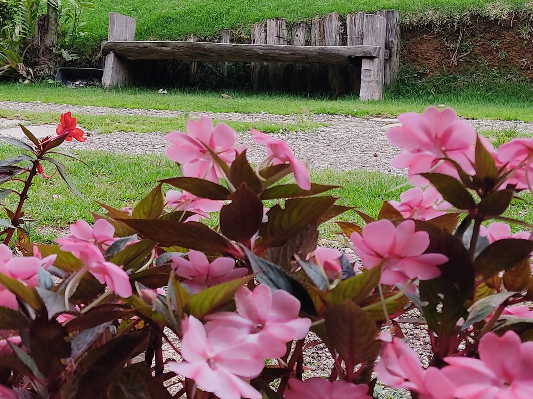 Vargem Alta旅游攻略图片