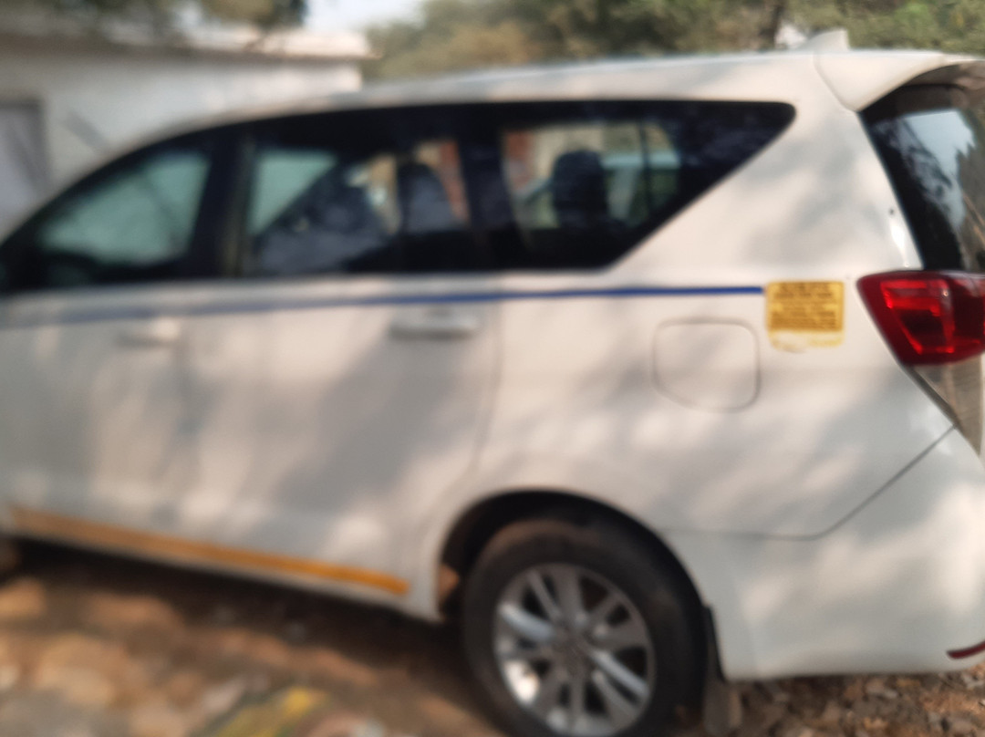 Neemrana Taxi Service Rajasthan景点图片