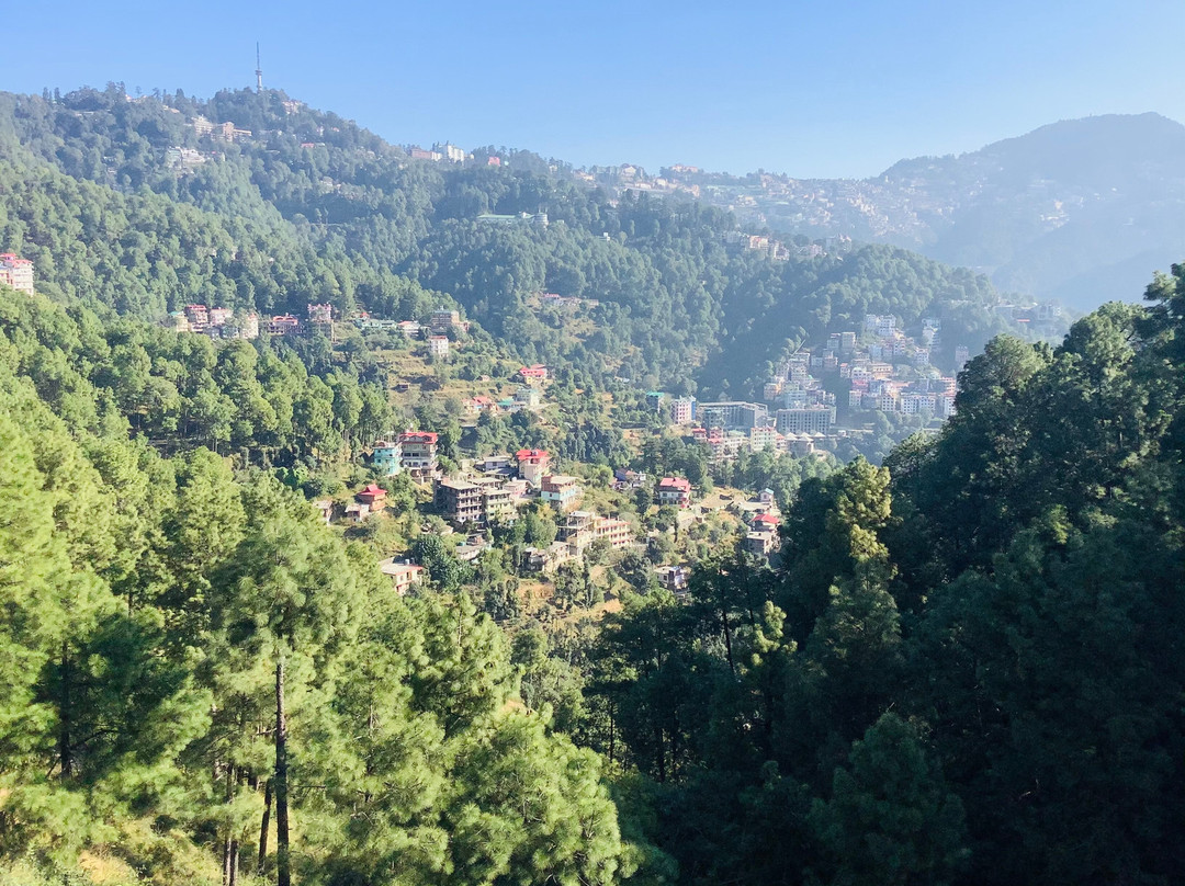 Golden Fern Resort主图