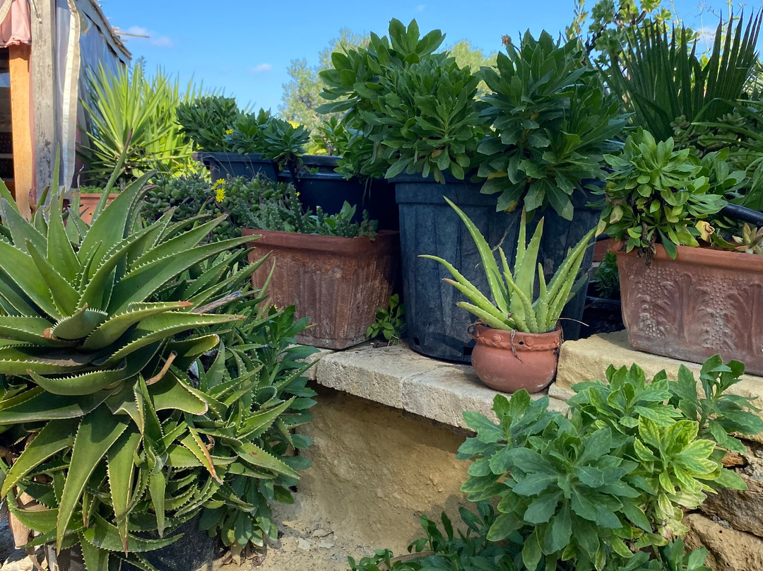 Ta' Mena Gozo-Xaghra必去景点