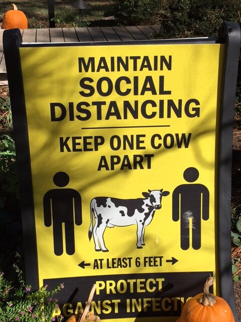 Fischer & Wieser's Das Peach Haus-弗雷德里克斯堡必去景点