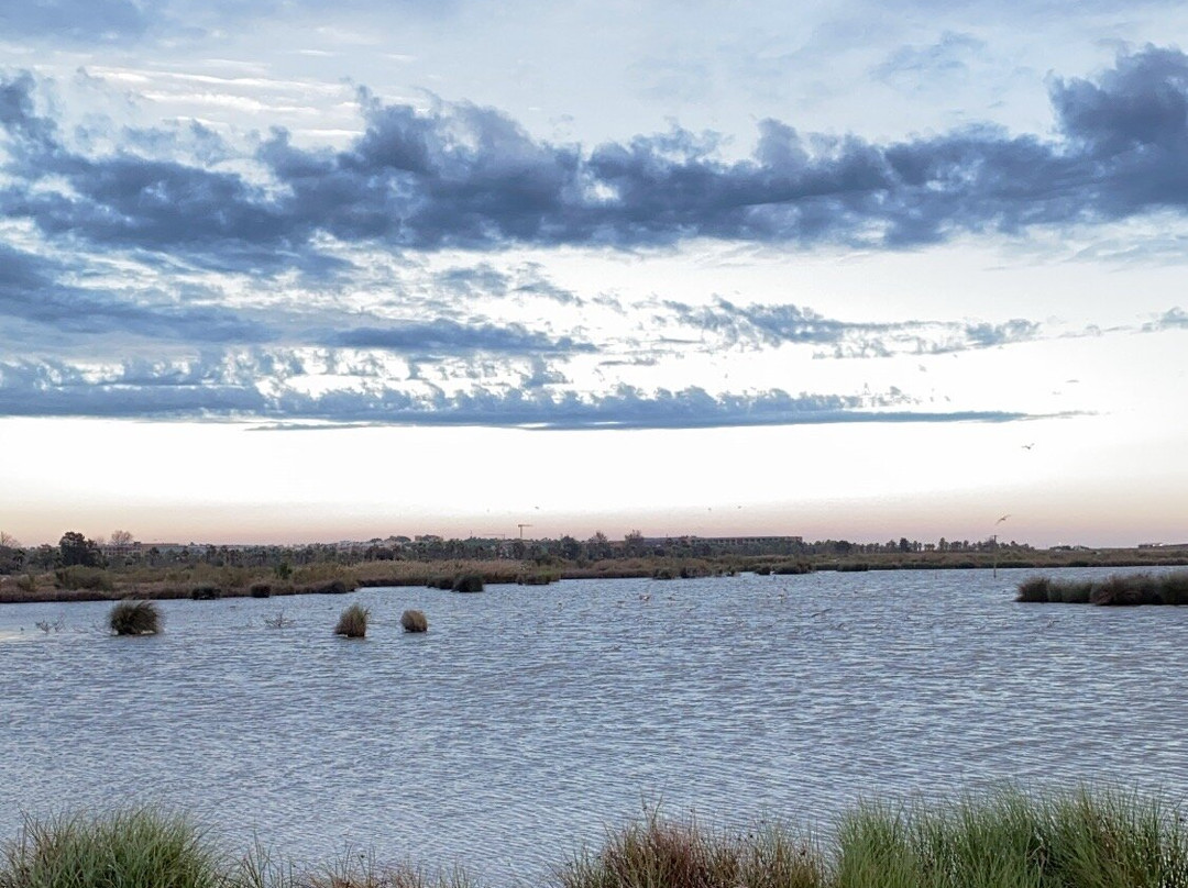 Algarve Flashback Holidays - TOURS & EVENTS-阿尔布赞拉必去景点