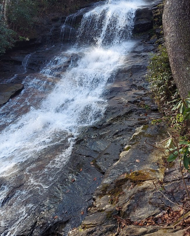 The Cascades Trail景点图片