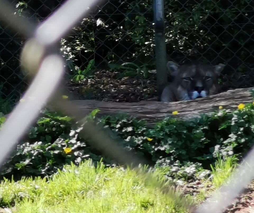 Romahue-巴拉斯港必去景点