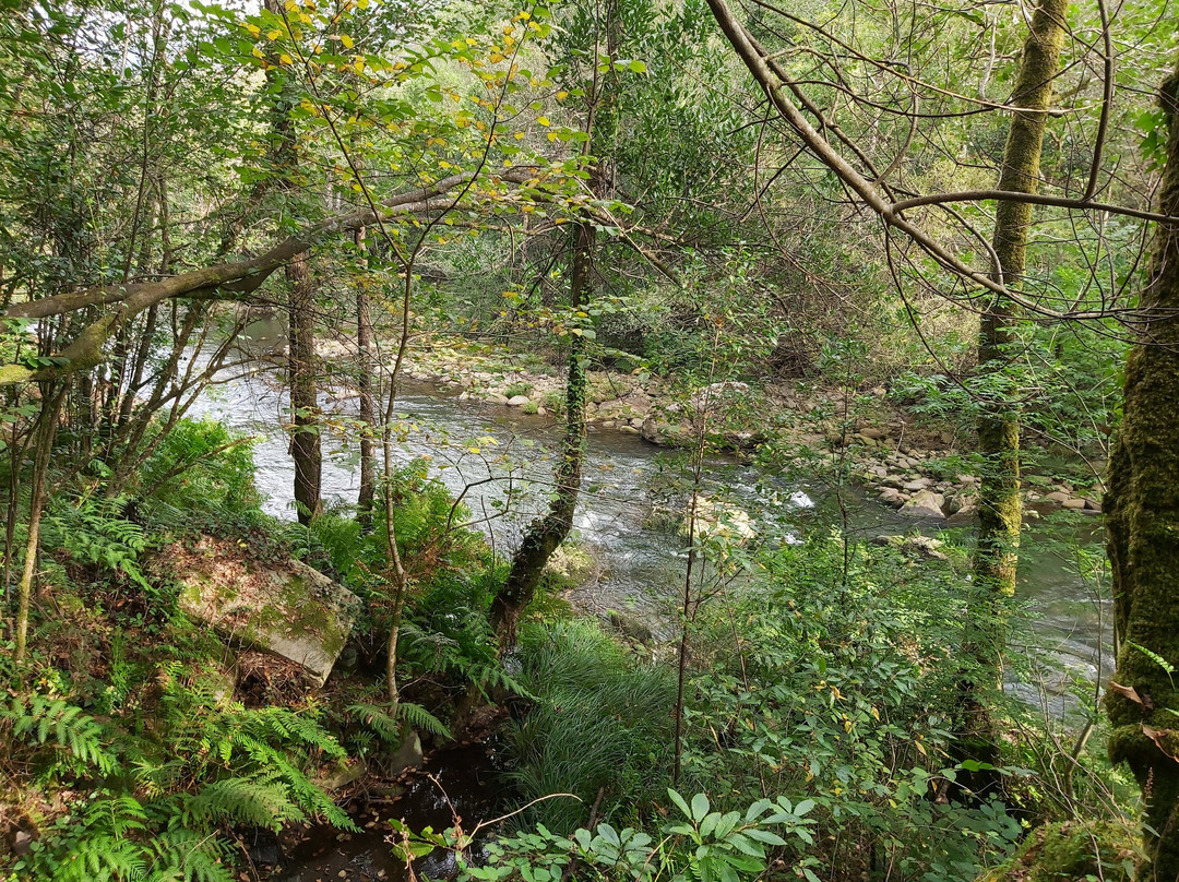 Parque Natural Fragas do Eume景点图片