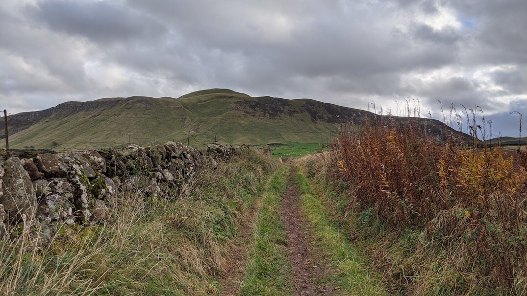 Lomond Hills Regional Park景点图片