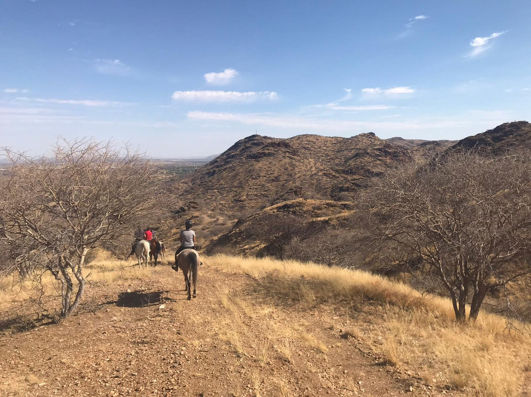Equitrails Namibia-温德和克必去景点