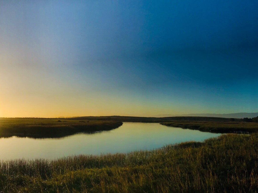 帕罗奥图海湾湿地自然保护区景点图片