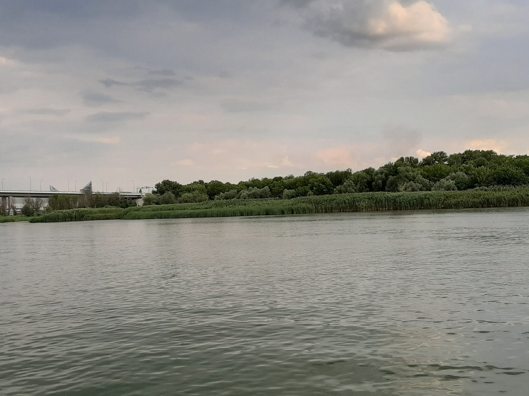 Voroshilovskiy Bridge景点图片