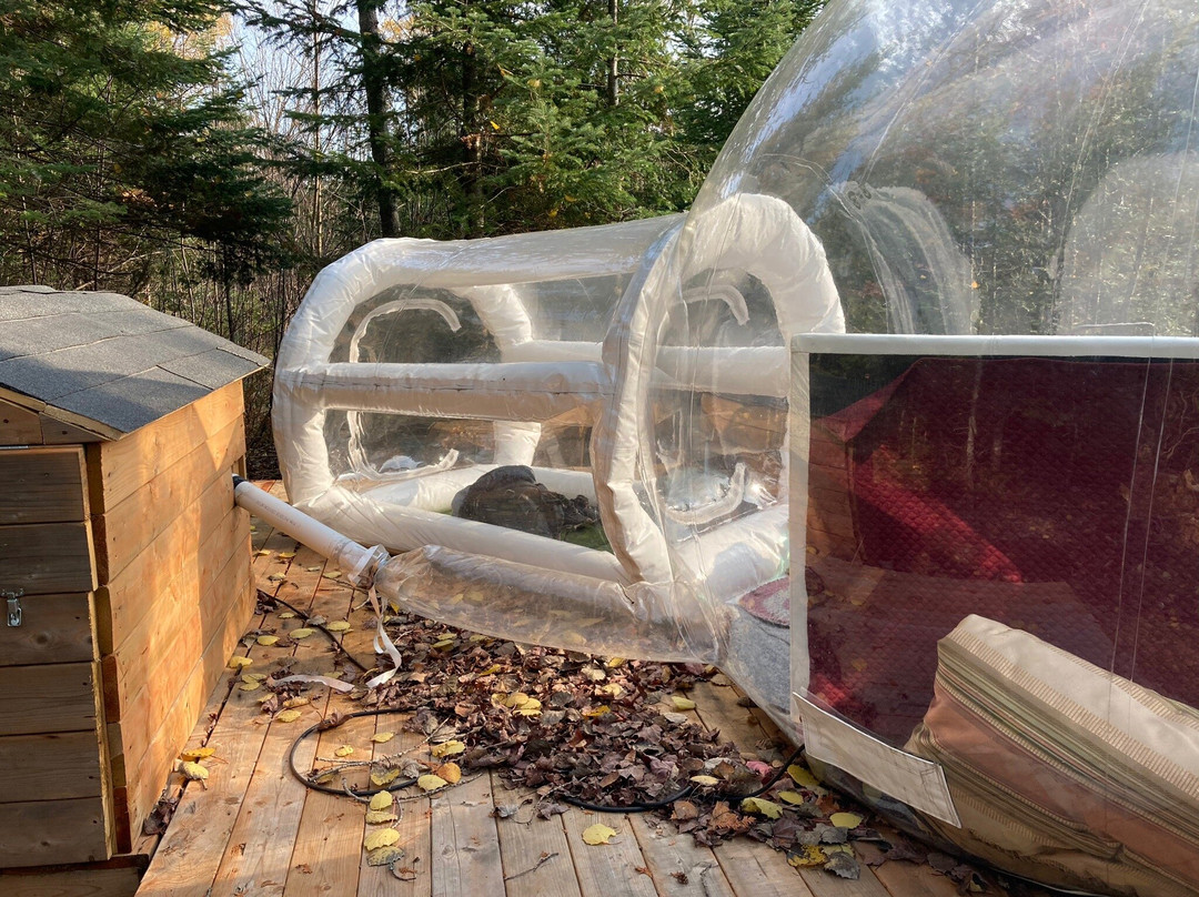 Parc Cavaland-Sainte-Marguerite-du-Lac-Masson必去景点