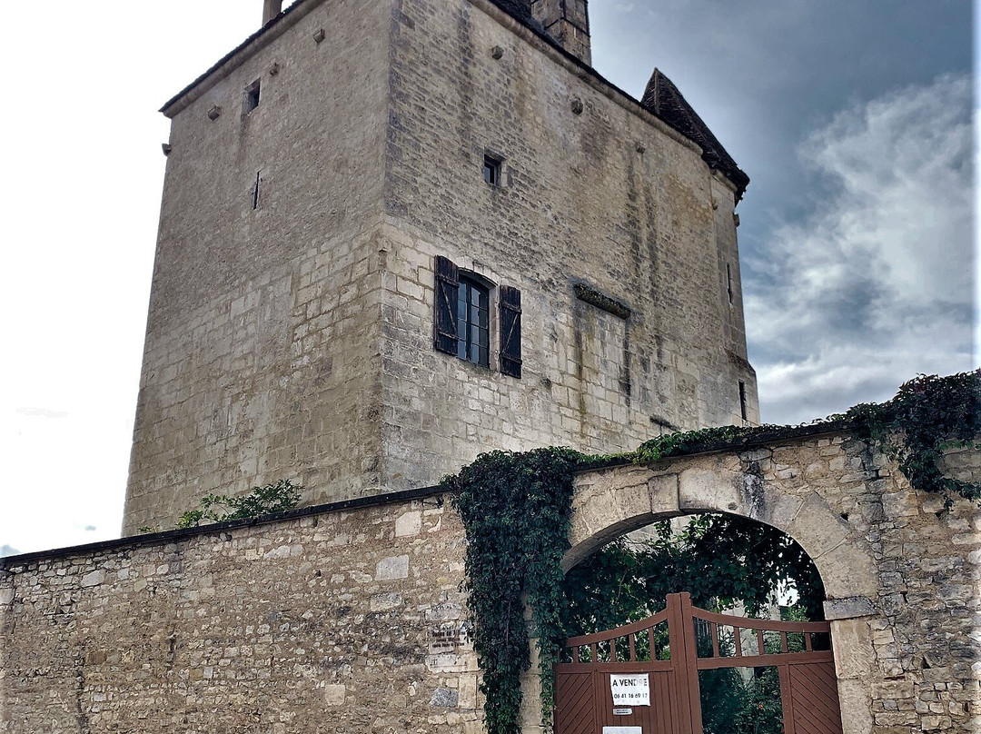 Donjon De Cravant景点图片