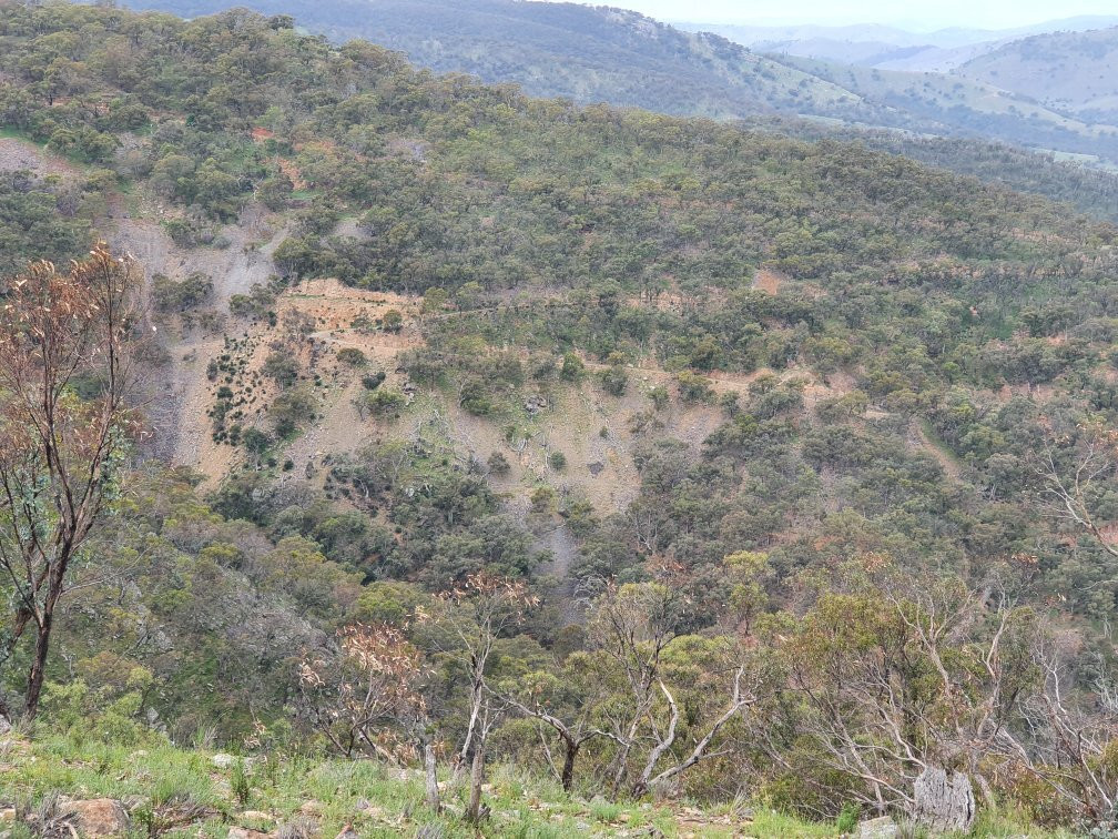 Merlins Lookout-Hill End必去景点