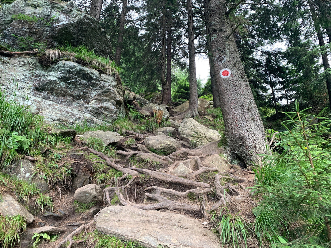 Balea Waterfall-Cartisoara必去景点