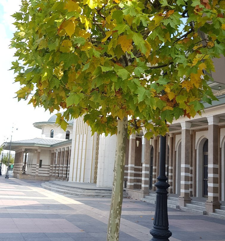 Bestepe Millet Camii-安卡拉必去景点