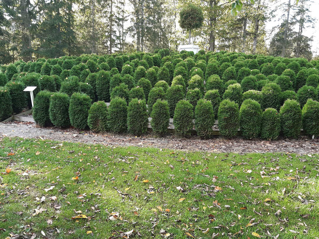 Laitse Castle-Kernu必去景点