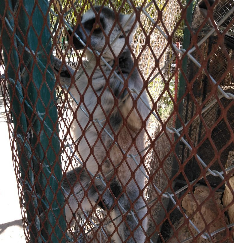 Zoologico de Chihuahua-Aldama必去景点