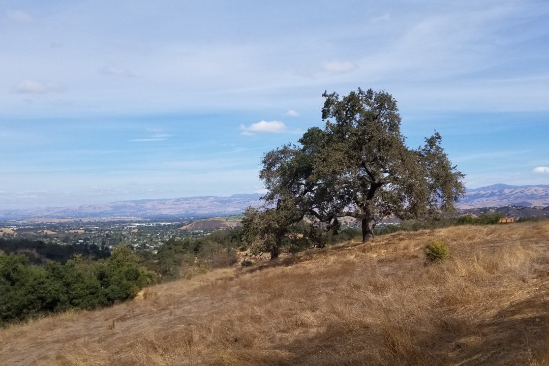 阿尔马登奎克西尔弗郡立公园-圣何塞必去景点