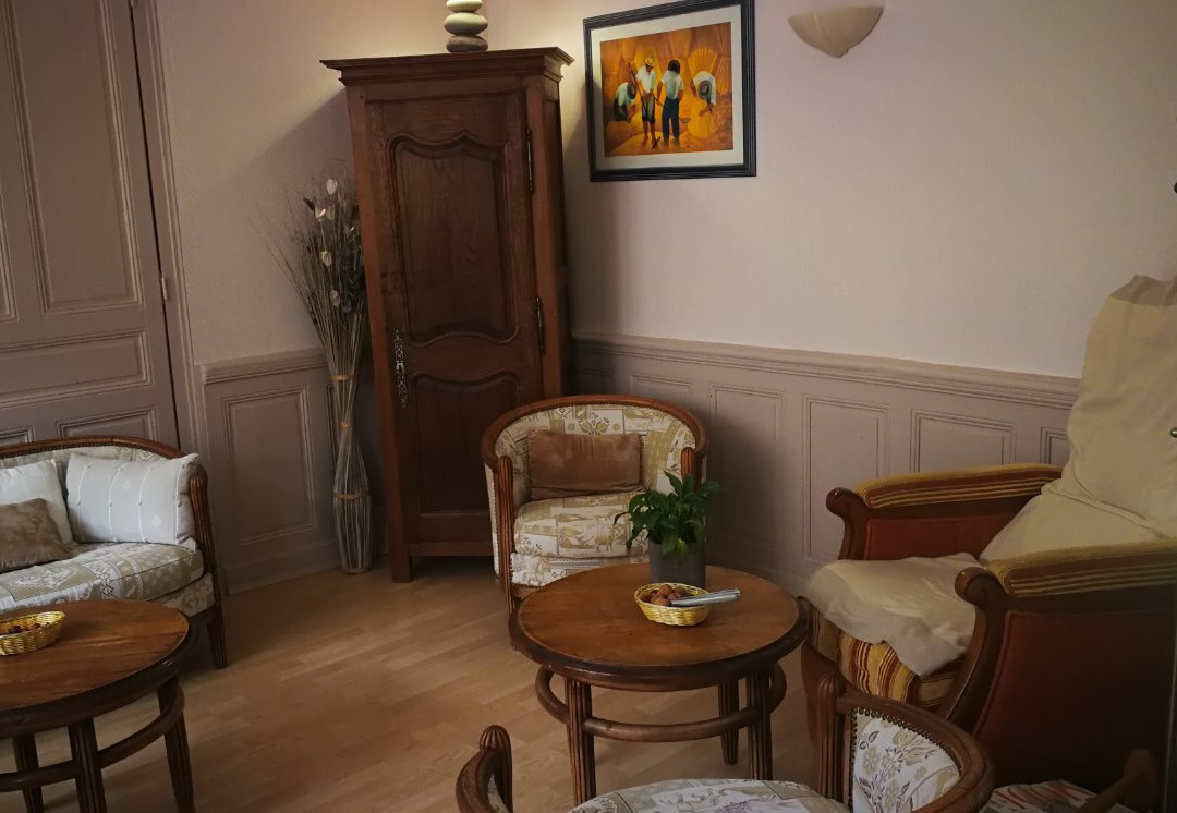 Logis Hôtel du Dauphin主图
