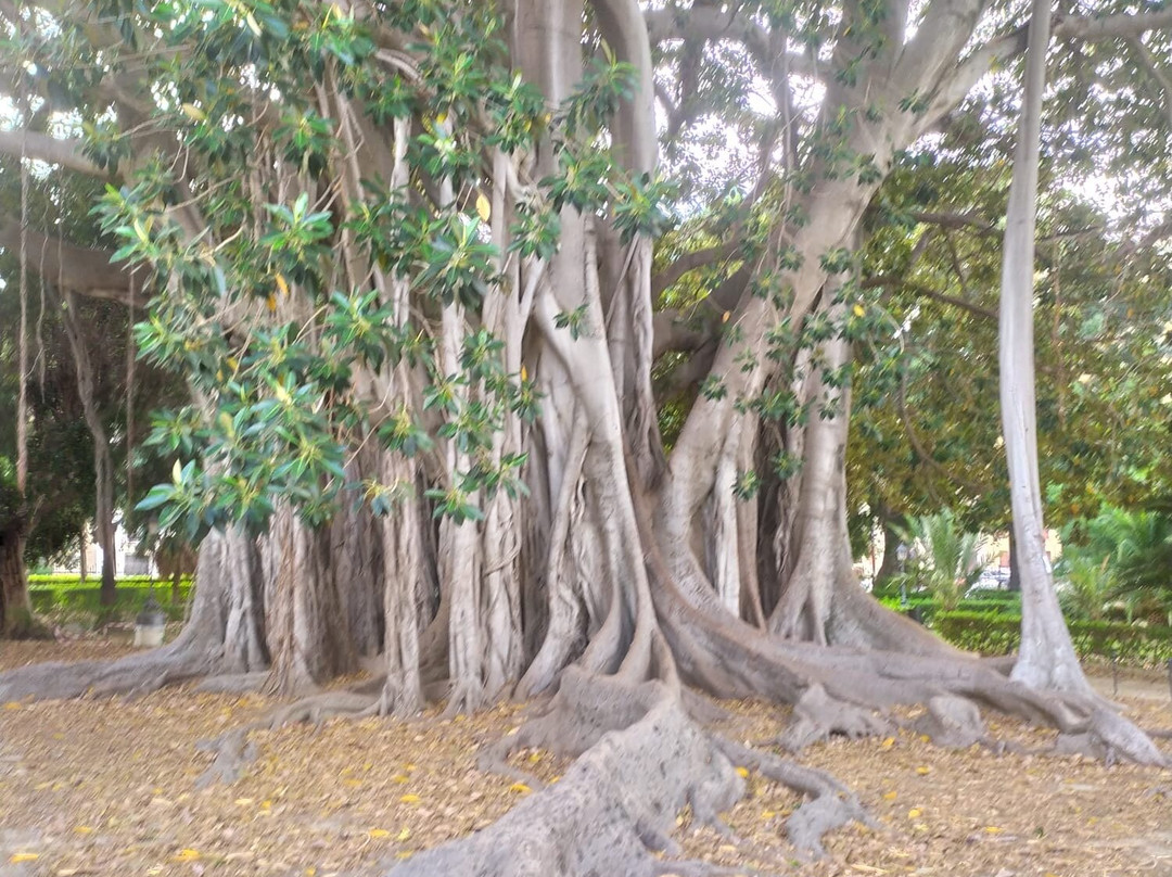 Giardino Garibaldi-巴勒莫必去景点
