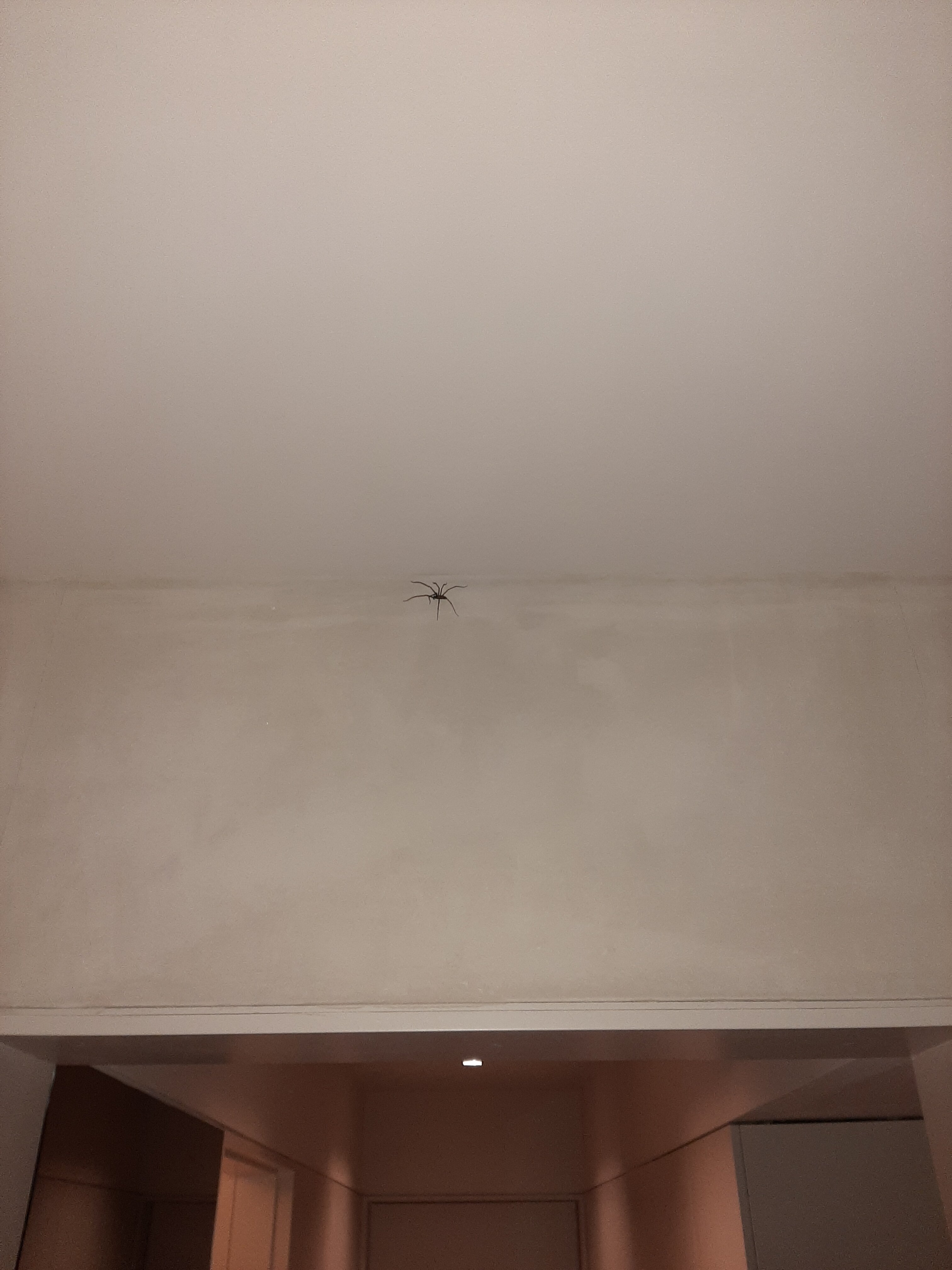 Montebelo Vista Alegre Ilhavo Hotel-酒店景观