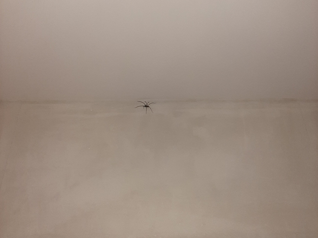 Montebelo Vista Alegre Ilhavo Hotel主图