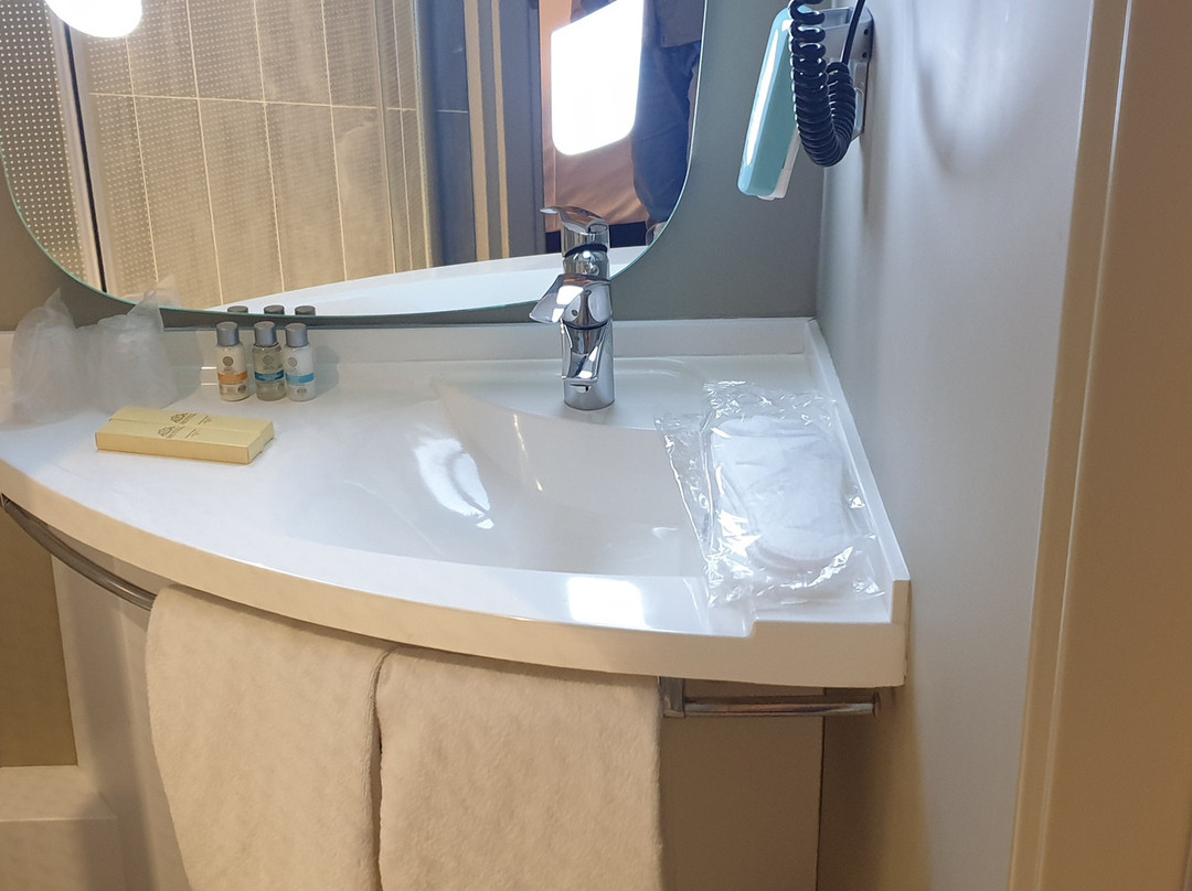 ibis Moscow Domodedovo Airport主图