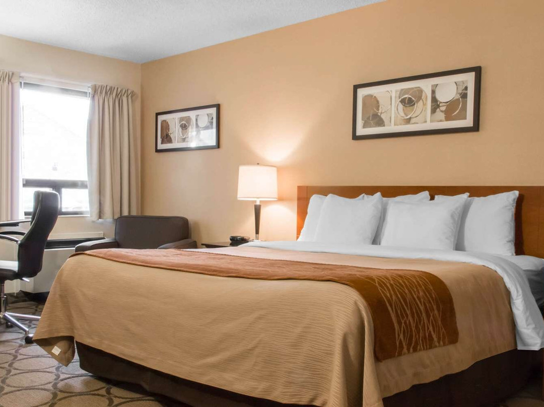 Comfort Inn Swift Current主图