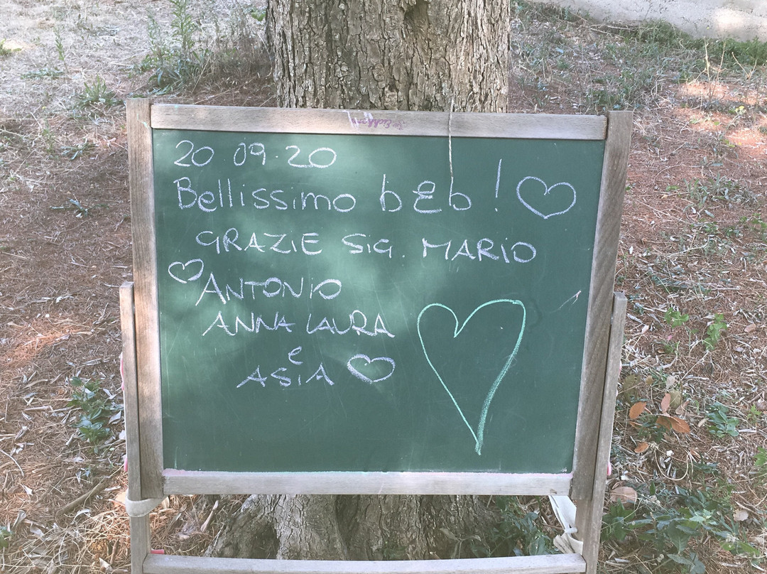 La Vita e Bella B&B主图