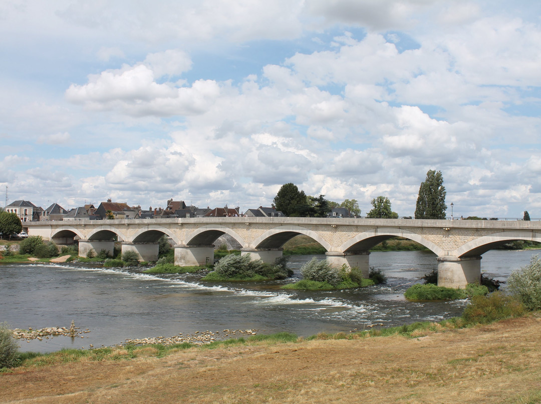 Pont Du Maréchal Leclerc景点图片