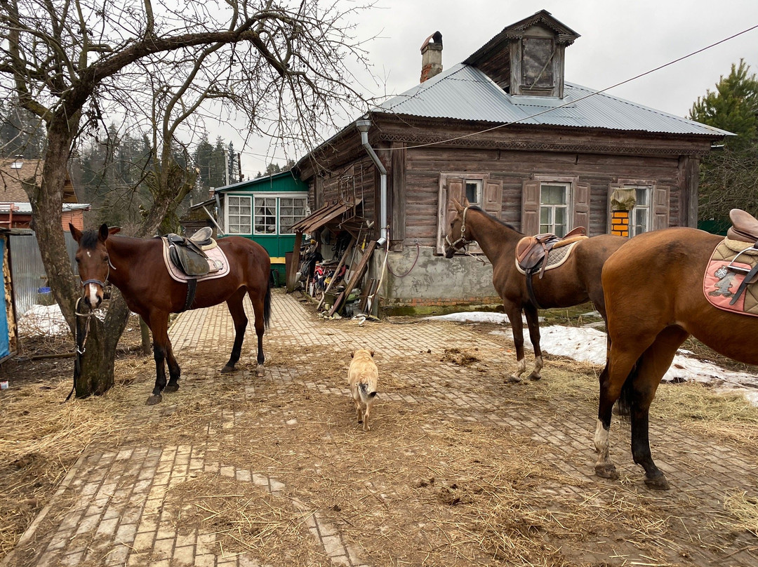 Horse Farm Dutkovo景点图片
