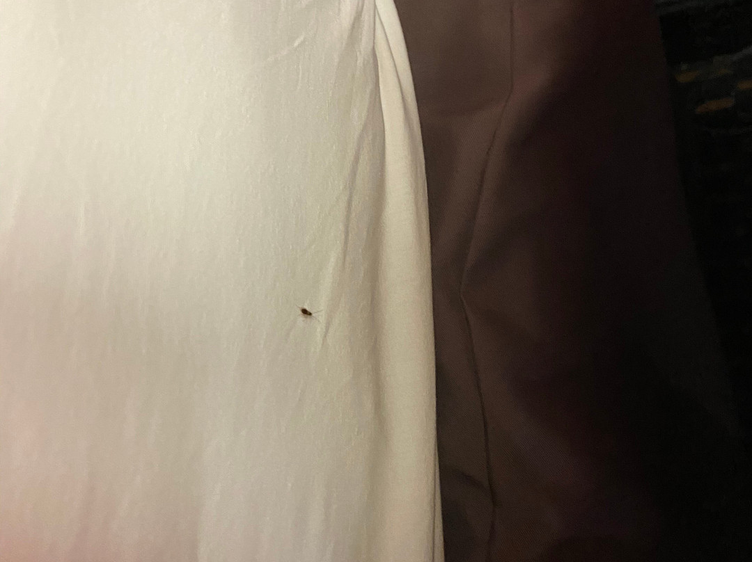 Super 8 by Wyndham Lancaster主图