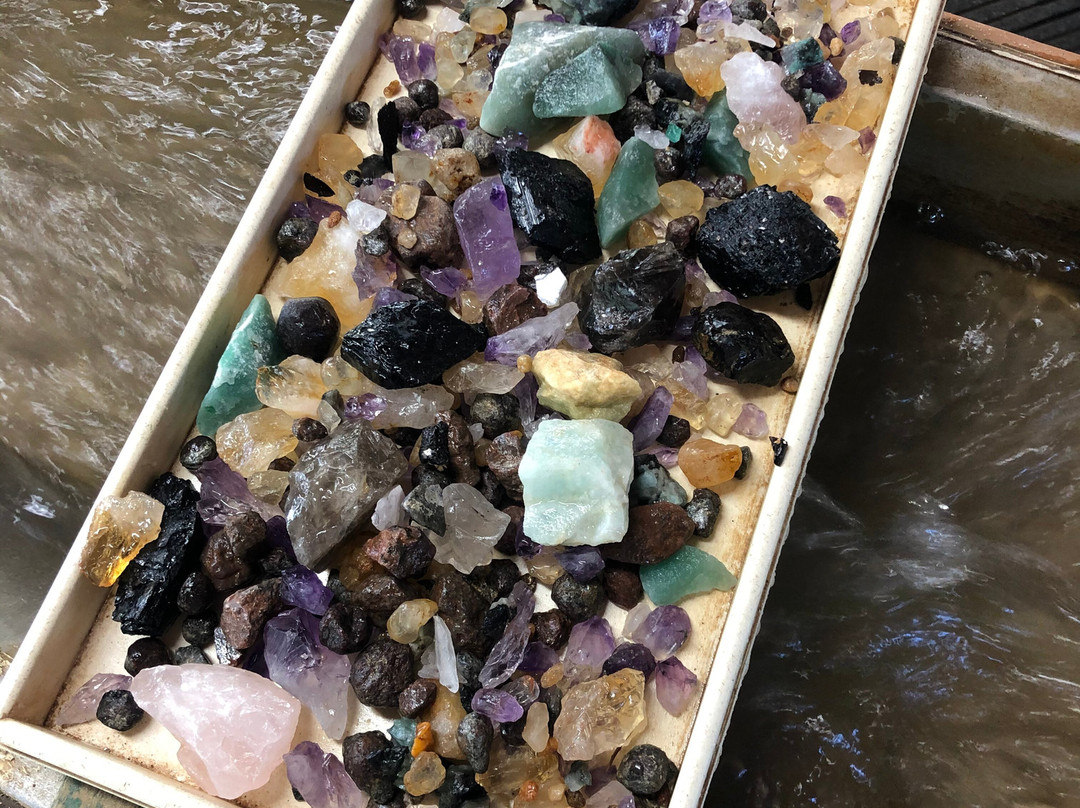 Jackson Hole Gem Mine景点图片