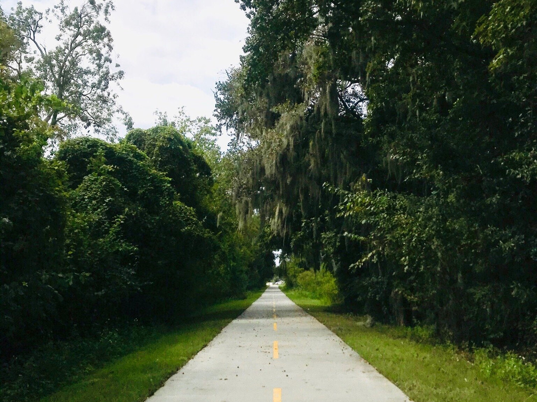 Spanish Moss Trail-博福特必去景点