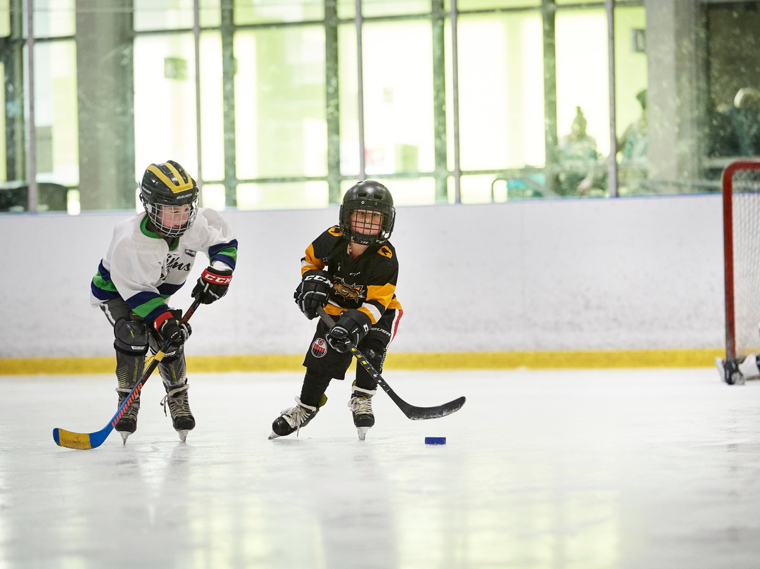 Wayne Gretzky Sports Centre-Brantford必去景点