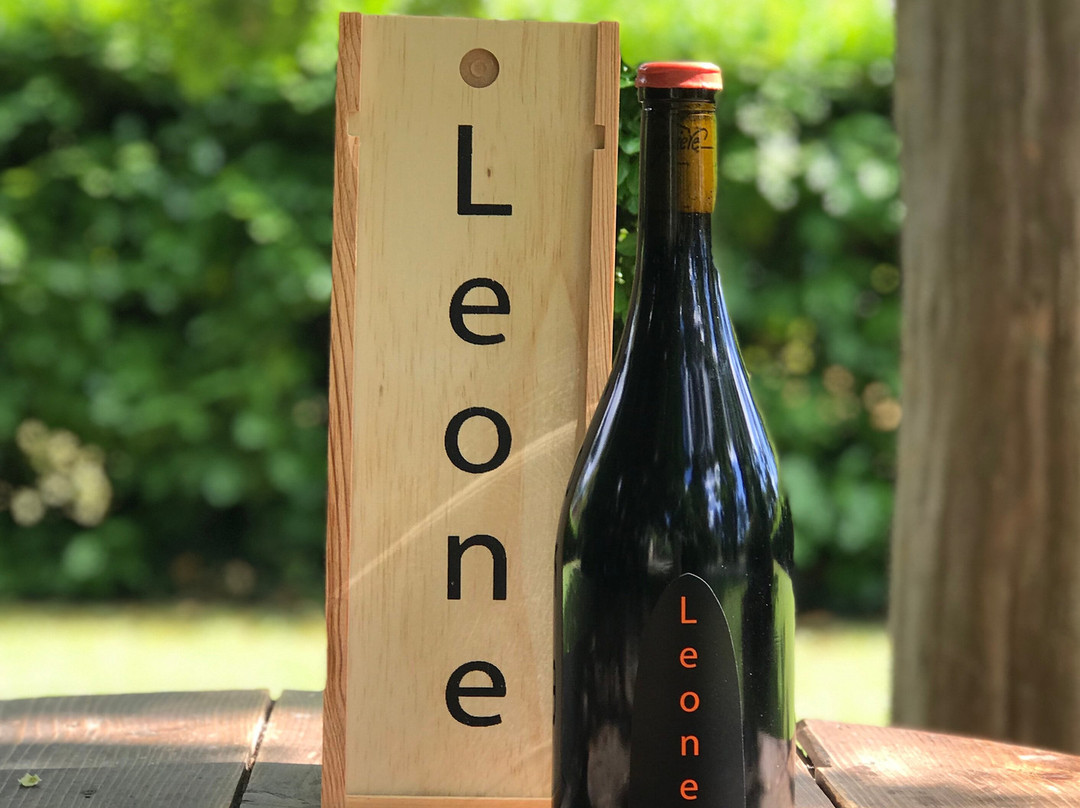 Domaine Coste Longuiere景点图片