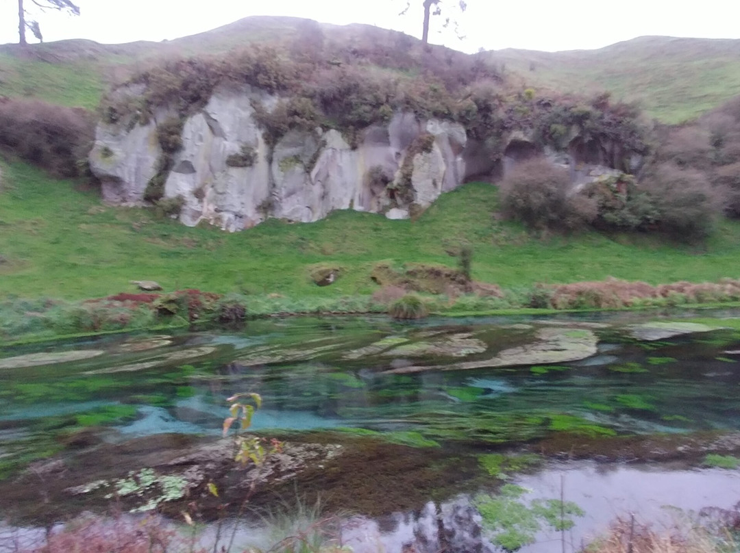 Te Waihou Walkway-普塔鲁鲁必去景点